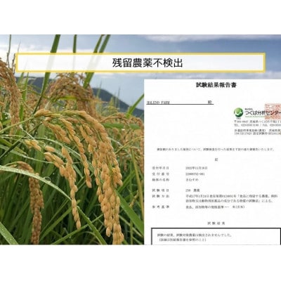 優良金賞受賞米 きぬむすめ 10kg【無洗米・残留農薬不検出】