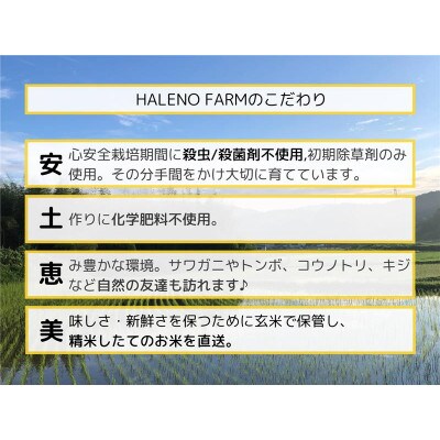 【毎月定期便】優良金賞受賞米 きぬむすめ 10kg全3回