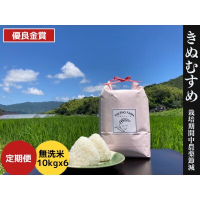 【毎月定期便】優良金賞受賞米 きぬむすめ 10kg全6回