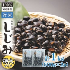 宍道湖産冷凍大和しじみ 特大粒500g×2袋