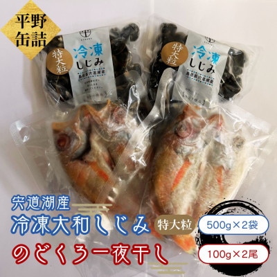 宍道湖産冷凍大和しじみ 特大粒500g×2袋・のどぐろ一夜干し100g×2尾
