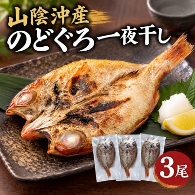 山陰沖産のどぐろ一夜干し 3尾(100g以上×3)