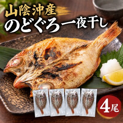 山陰沖産のどぐろ一夜干し 4尾(100g以上×4)