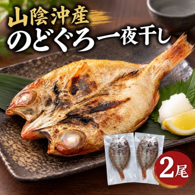 山陰沖産のどぐろ一夜干し 2尾(100g以上×2)