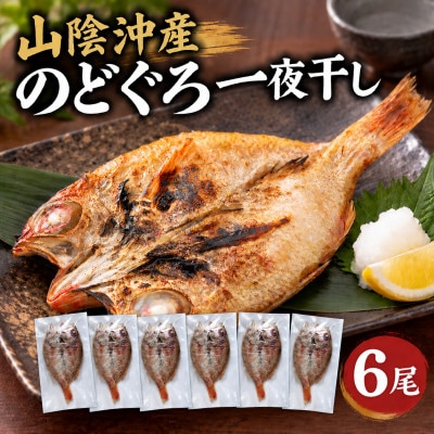 山陰沖産のどぐろ一夜干し 6尾(100g以上×6)