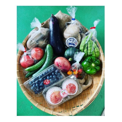 【発送月固定定期便】島採れ野菜全4回