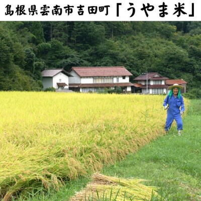令和6年産・島根県産「うやま米コシヒカリ(雲南市吉田町)」10kg(2kg×5)
