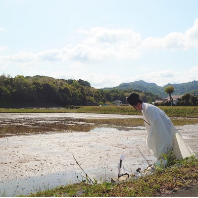 令和6年産・島根県産「出雲神名火きぬむすめ」10kg(5kg×2)