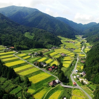 令和6年産・仁多米「大峠源流米」5kg