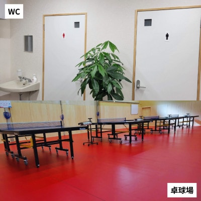 卓球個人レッスン券(60分×1)手打ち脱却して一気に上達!専属コーチのマンツーマンレッスン