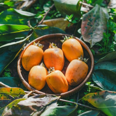 とろ～り甘い柿の里の西条柿 6玉