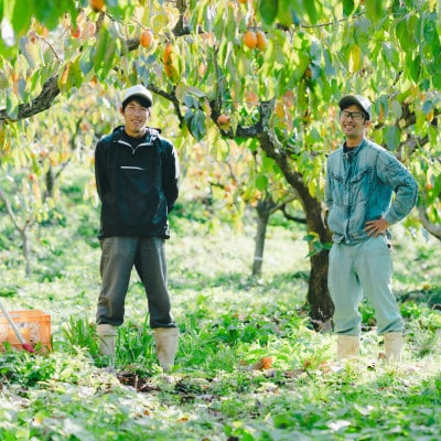 とろ～り甘い柿の里の西条柿 5kg