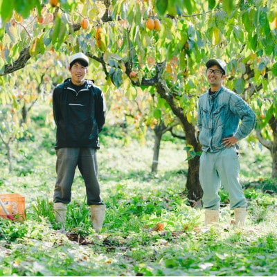 とろ～り甘い柿の里の西条柿 2kg(8玉～12玉)