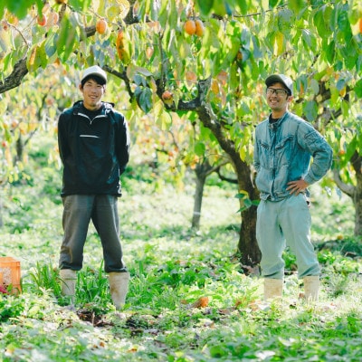 プレミアム干柿 SHUKU 4玉