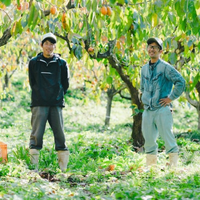 干柿 SHUKU8玉 特上 桐箱入