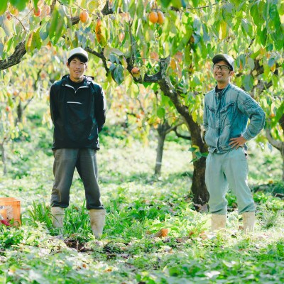 プレミアム干柿SHUKU 8玉