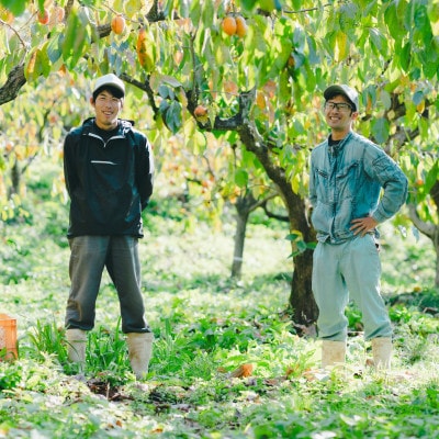 【優品】プレミアム干柿SHUKU西条柿 8玉 島根県松江市【マルカミ農縁株式会社】