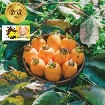 【優品】とろ～り甘さの極み!柿の里の西条柿 2kg(8玉～12玉)島根県松江市【マルカミ農縁(株)】