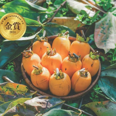 【秀品】とろ～り甘さの極み!柿の里の西条柿 2kg(8玉～12玉)島根県松江市【マルカミ農縁(株)】