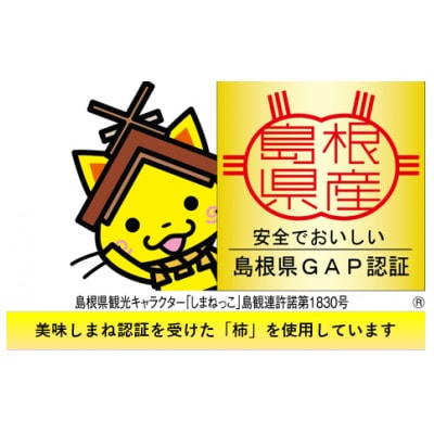 秀品　干し柿食べ比べセット8玉入