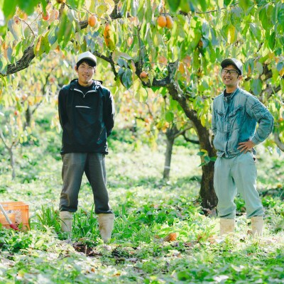 【数量限定】優品 とろ～り甘さの極み!柿の里の西条柿 5kg 島根県松江市【マルカミ農縁株式会社】