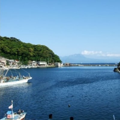 美保館 ご宿泊クーポン券 40,000円分