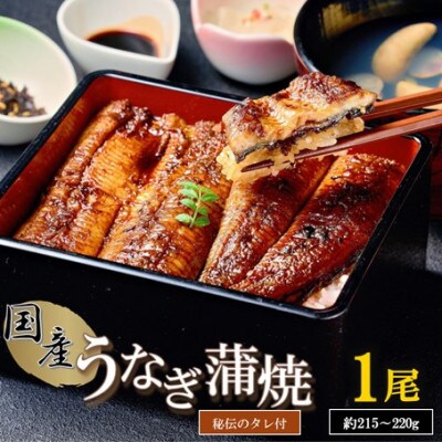【国産】うなぎ蒲焼1尾(秘伝のタレ付)