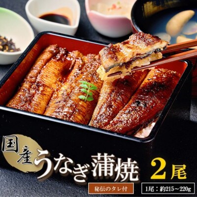 【国産】うなぎ蒲焼2尾(秘伝のタレ付)