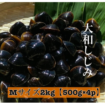 島根県宍道湖産　冷凍大和しじみMサイズ2kg(500g×4)セット(砂抜き処理済)