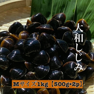 島根県宍道湖産　冷凍大和しじみMサイズ　1kg(500g×2)セット(砂抜き処理済)