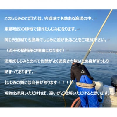 島根県宍道湖産　冷凍大和しじみMサイズ　1kg(500g×2)セット(砂抜き処理済)