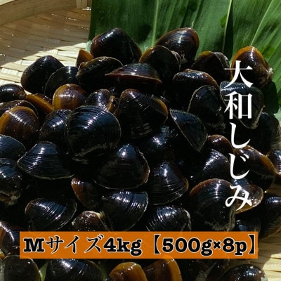 島根県宍道湖産　冷凍大和しじみMサイズ　4kg(500g×8)セット(砂抜き処理済)