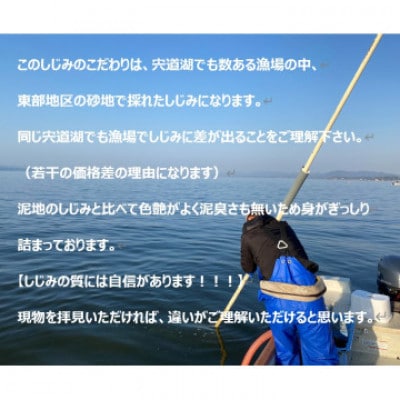 島根県宍道湖産　冷凍大和しじみMサイズ　4kg(500g×8)セット(砂抜き処理済)