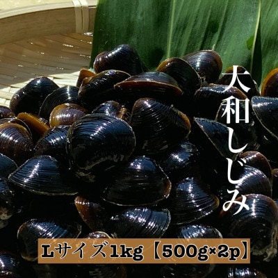 島根県宍道湖産　冷凍大和しじみLサイズ　1kg(500g×2)セット(砂抜き処理済)