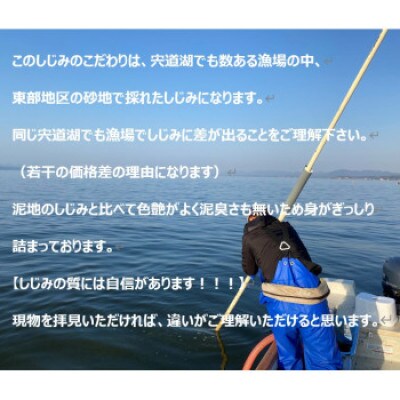 島根県宍道湖産　冷凍大和しじみLサイズ　1kg(500g×2)セット(砂抜き処理済)