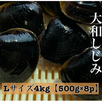 島根県宍道湖産　冷凍大和しじみLサイズ　4kg(500g×8)セット(砂抜き処理済)