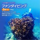 松江で海中散歩 初心者でも安心の体験ダイビングプラン