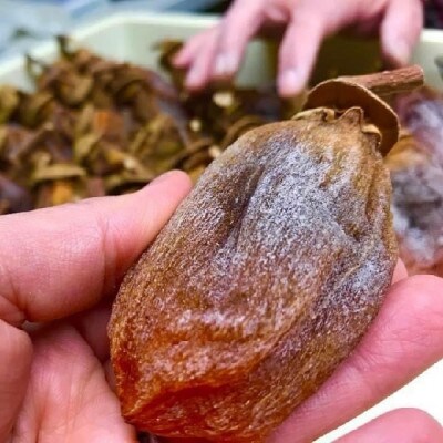 百市(ひゃくいち)の巻柿　2本入り