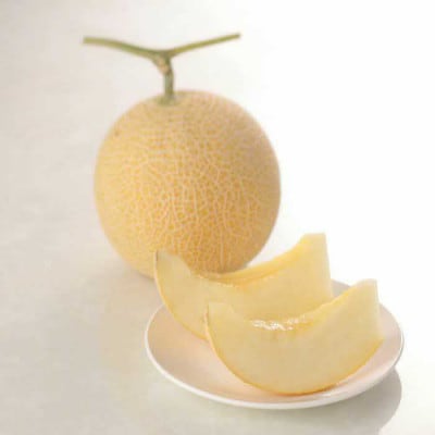 ご縁玉ゴールデンパールメロン　1.3～1.8kg×1玉