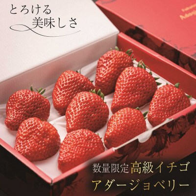アダージョベリー　9個入(400g)ギフトボックス入り