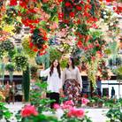 松江フォーゲルパークペア入園券