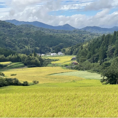 令和7年産 プレミアム仁多米(こしひかり)なおらい米 真空パック 2kg×1袋(合計2kg)松江市