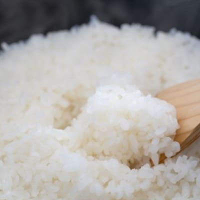 令和7年産 プレミアム仁多米(こしひかり)なおらい米 真空パック 2kg×2袋(合計4kg)松江市