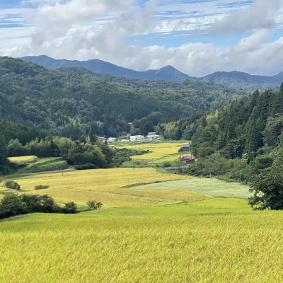 令和7年産 プレミアム仁多米(こしひかり)なおらい米 真空パック 2kg×2袋(合計4kg)松江市