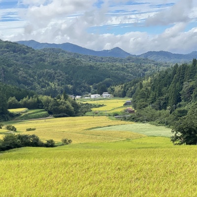 令和7年産 プレミアム仁多米(こしひかり)なおらい米 真空パック 2kg×3袋(合計6kg)松江市