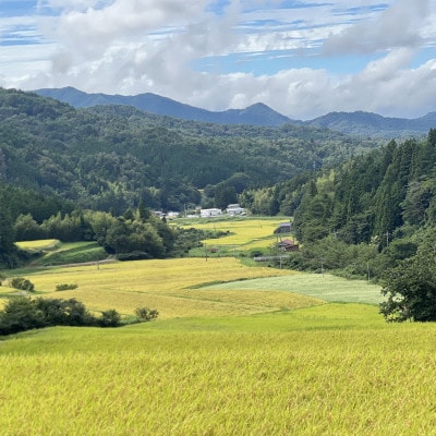 令和7年産 プレミアム仁多米(こしひかり)なおらい米 真空パック 2kg×5袋(合計10kg)松江市