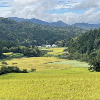 【毎月定期便】プレミアム仁多米(なおらい米)真空パック　2kg×3袋(松江市)全3回