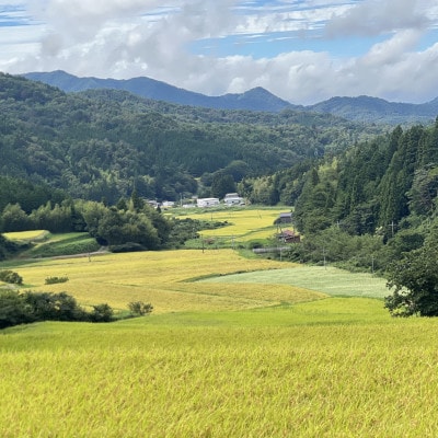 【毎月定期便】プレミアム仁多米(なおらい米)真空パック　2kg×1袋(松江市)全6回
