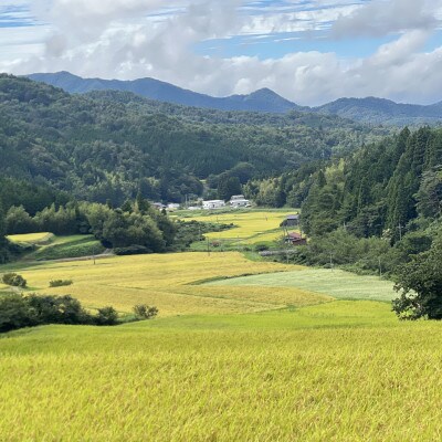 【毎月定期便】プレミアム仁多米(なおらい米)真空パック 2kg×3袋(松江市)全6回