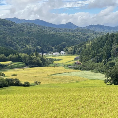 【毎月定期便】プレミアム仁多米(なおらい米)真空パック 2kg×4袋(松江市)全6回